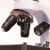 Microscope PERFEX 400X Initiation 2.1