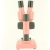 Loupe Binoculaire Initiation 20X Rose