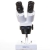 Loupe Binoculaire Perfex Edu 1.0