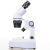 Loupe Binoculaire Perfex Sc 3.0