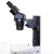 Loupe Binoculaire Sciences Sc 2.1