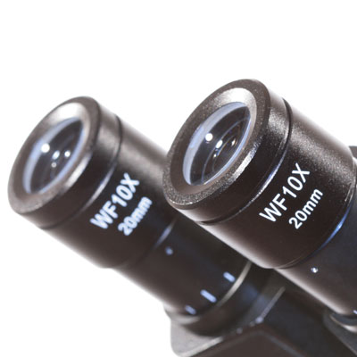 Microscope de Routine Perfex 1000X Pro 5.5