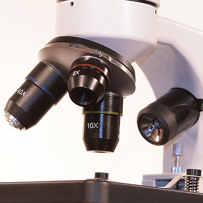 Microscope PERFEX 400X Initiation 2.1