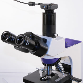 Exemple de montage sur un microscope perfex Sc5