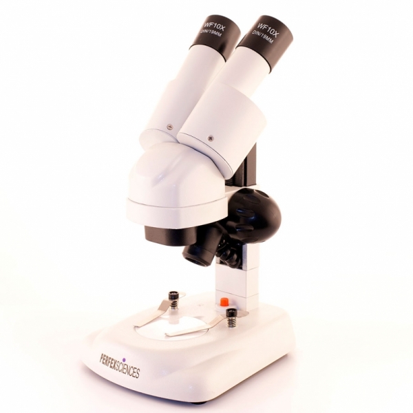 Loupe Binoculaire PERFEX Initiation 20X