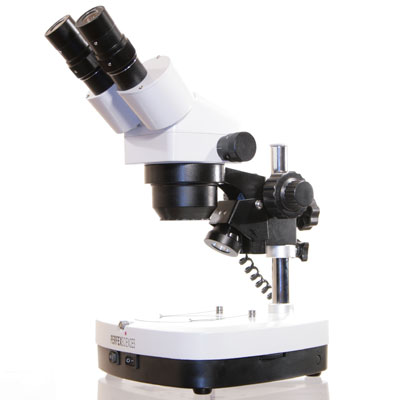 Loupe Binoculaire Perfex Zoom Sc 6.0 LED