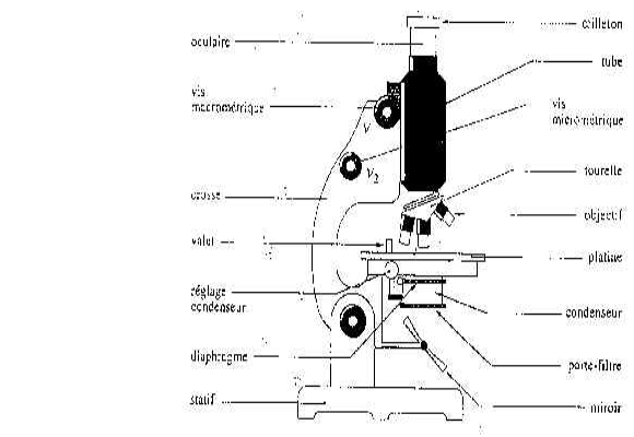 Diagramme De Microscope Vierge